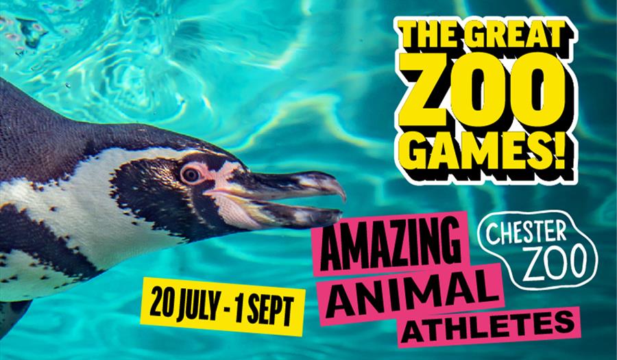 The Great Zoo Games at Chester Zoo 
